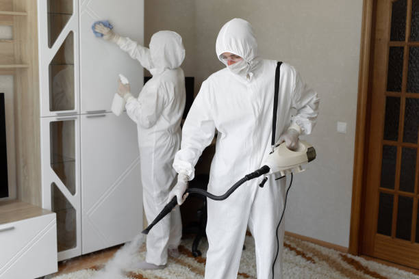 24/7 Emergency Odor Removal experts in Dyer, IN